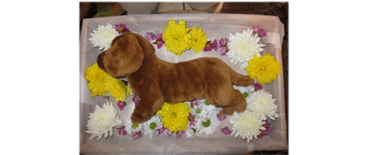 ペットの納棺イメージ写真